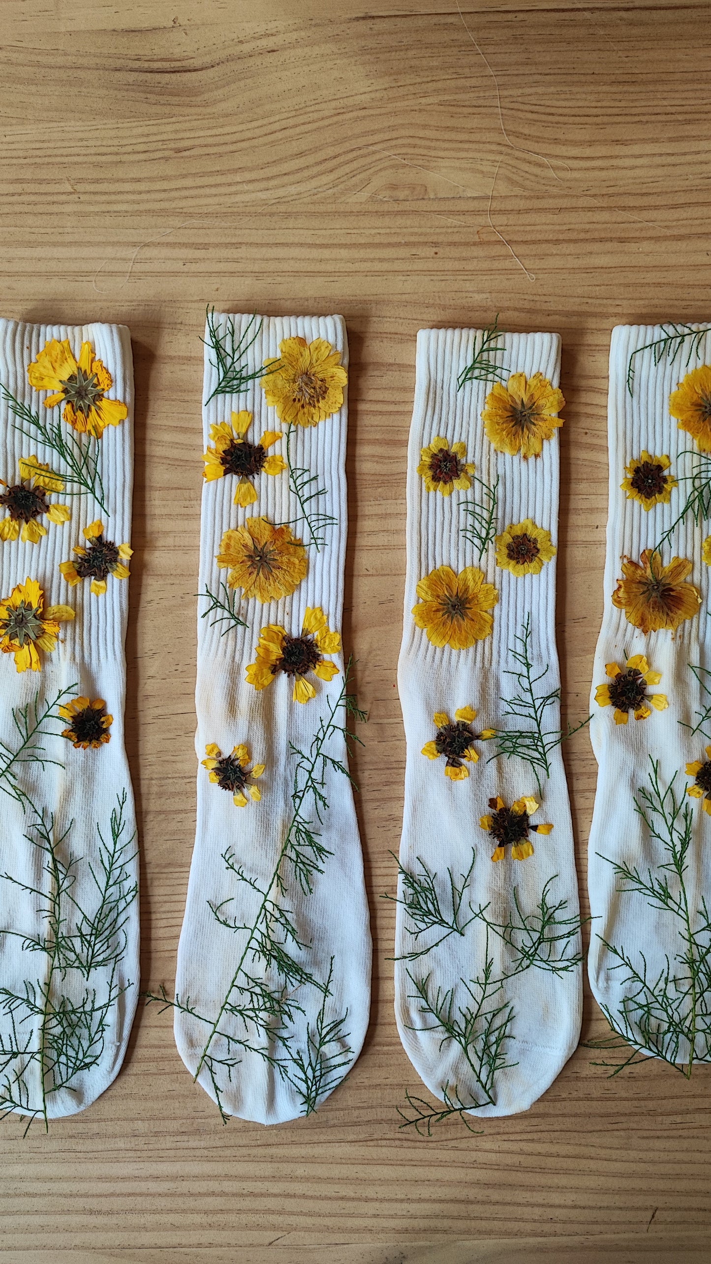 Taller calcetines botánicos, Abril 20